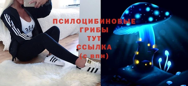jwh Алзамай