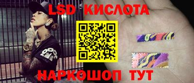 индика Гудермес