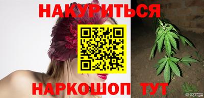 индика Гудермес