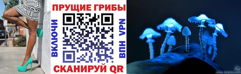 что такое наркотик  Евпатория  Галлюциногенные грибы GOLDEN TEACHER 