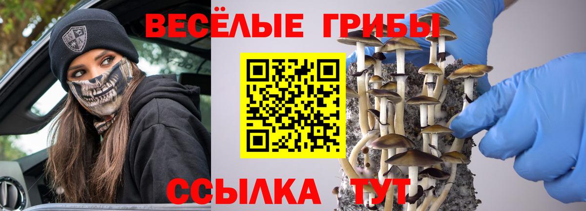 наркошоп  Вход с VPN  Псилоцибиновые грибы мицелий  Евпатория  Псилоцибиновые грибы GOLDEN TEACHER 