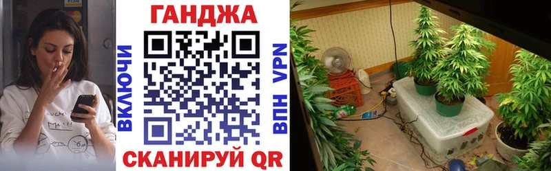 Конопля SATIVA & INDICA Евпатория